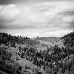 Premium Mouse Wireless