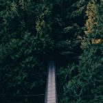 Premium Mouse Wireless