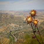 Premium Mouse Wireless