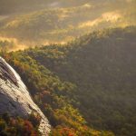 Vintage Mouse Wireless