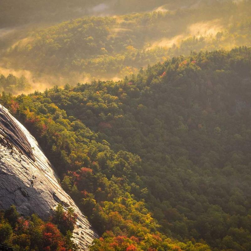 Vintage Mouse Wireless