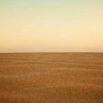 Vintage Mouse Wireless