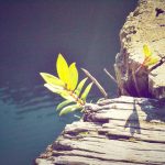 Silver Colar Folheado