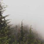 Básico Relógio Fashion