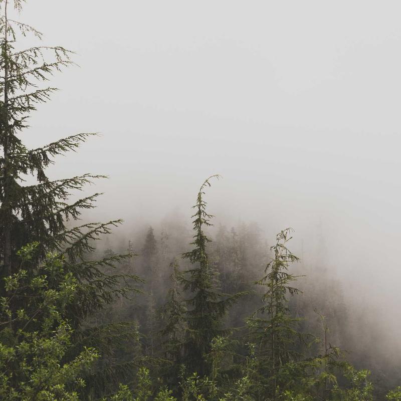 Básico Relógio Fashion