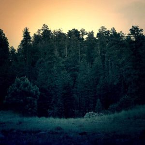 Classic Mouse Wireless