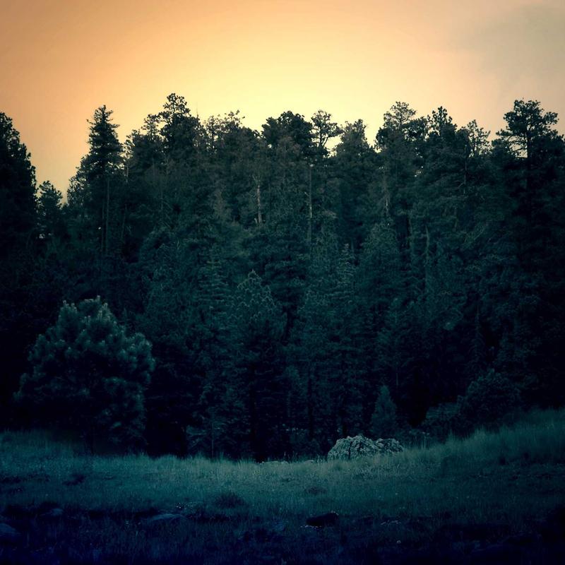 Classic Mouse Wireless