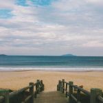 Classic Mouse Wireless