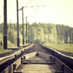 Classic Chapéu Bucket