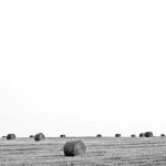 Smart Mouse Wireless